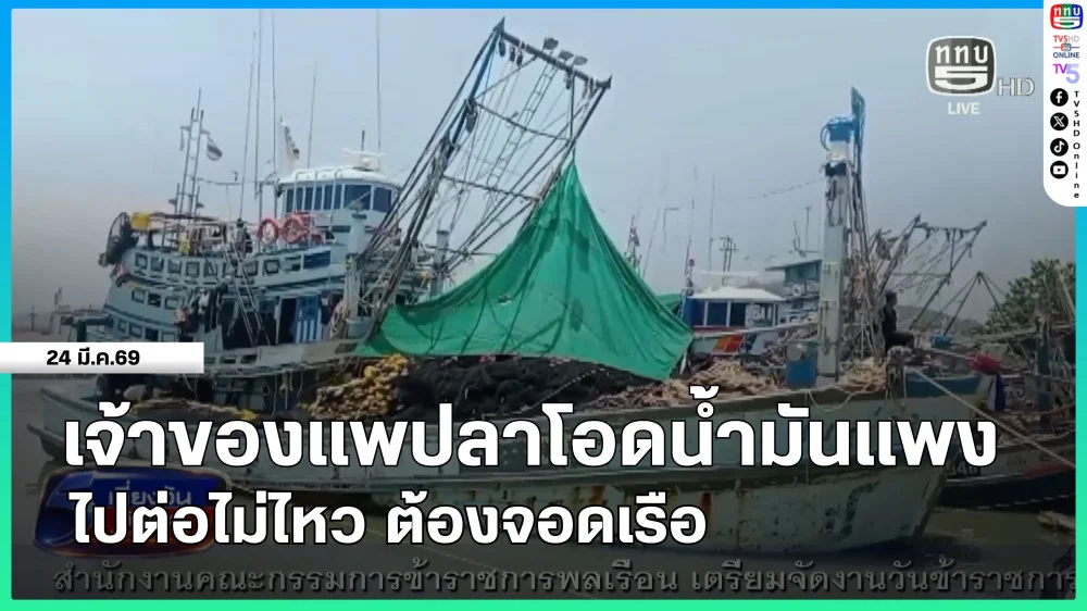 เจ้าของแพปลาโอดน้ํามันแพง ไปต่อไม่ไหว ต้องจอดเรือ