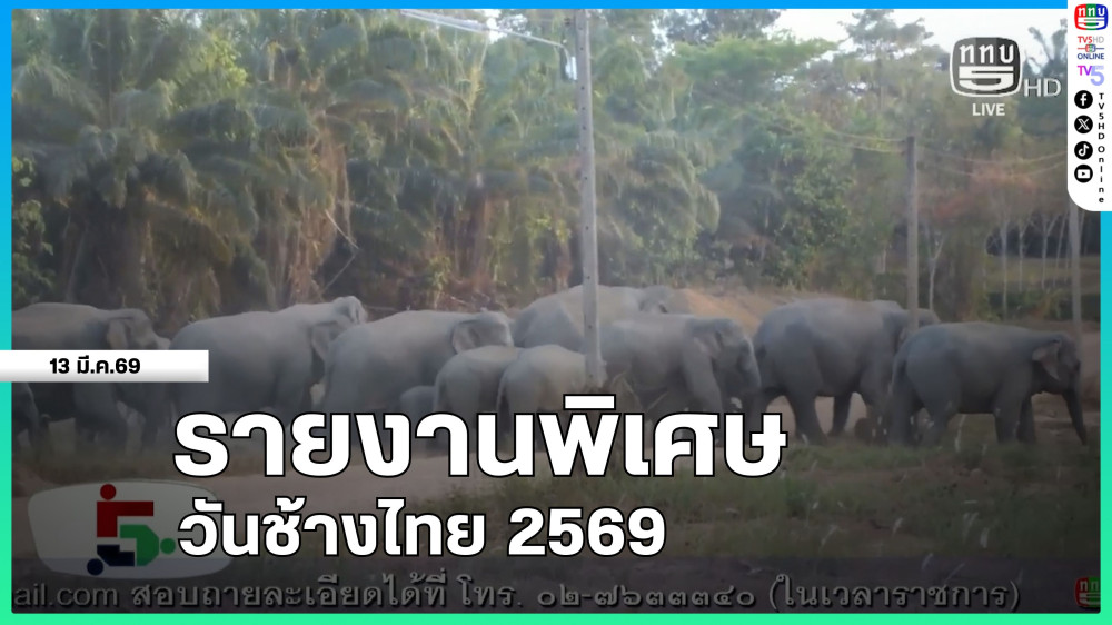 รายงานพิเศษ วันช้างไทย 2569