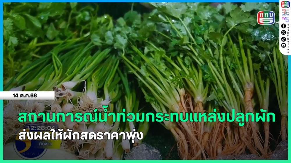 สถานการณ์น้ําท่วมกระทบแหล่งปลูกผัก ส่งผลให้ผักสดราคาพุ่ง
