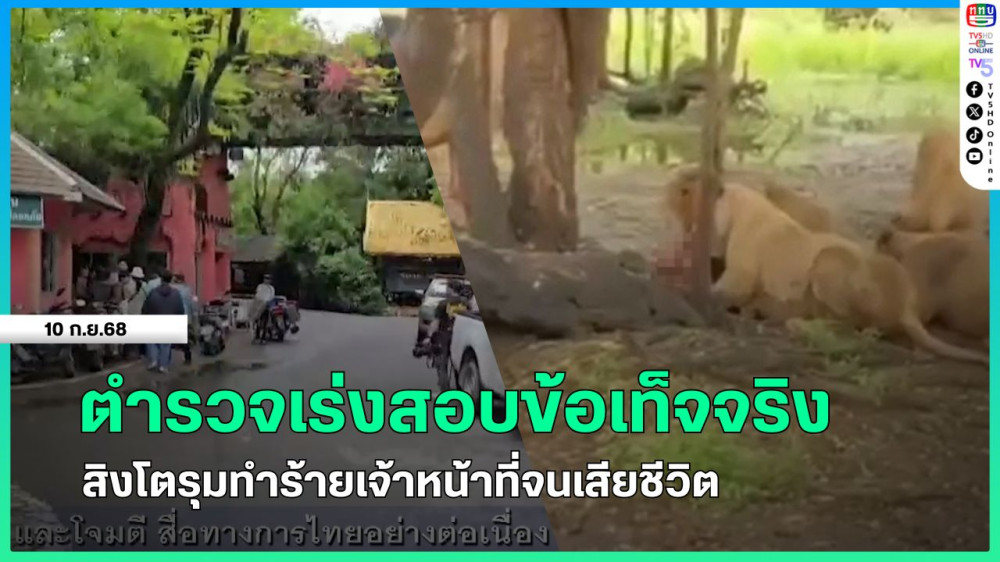 ตํารวจเร่งสอบข้อเท็จจริง สิงโตรุมทําร้ายเจ้าหน้าที่จนเสียชีวิต