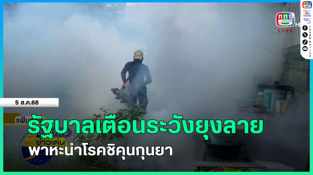 รัฐบาลเตือนระวังยุงลายพาหะนําโรคชิคุนกุนยา