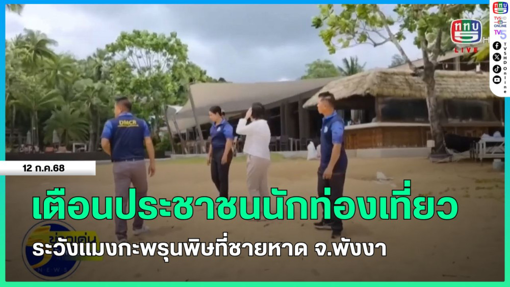เตือนประชาชนนักท่องเที่ยวระวังแมงกะพรุนพิษที่ชายหาด จ.พังงา