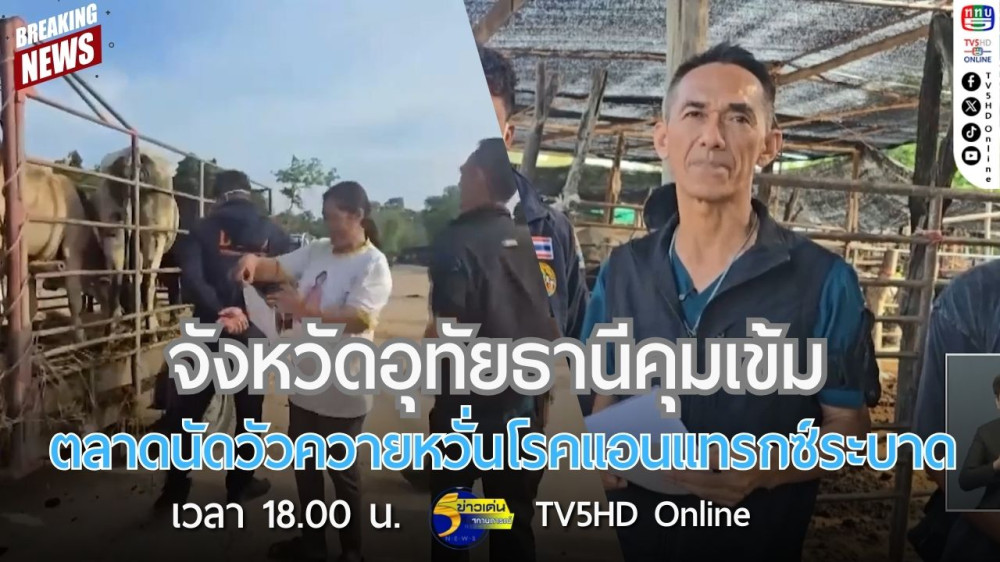จังหวัดอุทัยธานีคุมเข้มตลาดนัดวัวควายหวั่นโรคแอนแทรกซ์ระบาด