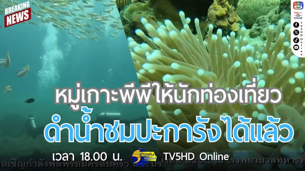 หมู่เกาะพีพีให้นักท่องเที่ยวดำน้ำชมปะการังได้แล้ว