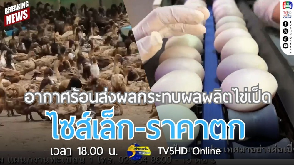 อากาศร้อนส่งผลกระทบผลผลิตไข่เป็ด ไซส์เล็ก-ราคาตก