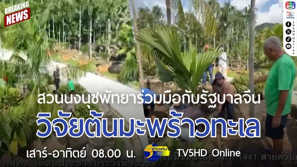 สวนนงนุชพัทยาร่วมมือกับรัฐบาลจีน วิจัยต้นมะพร้าวทะเล
