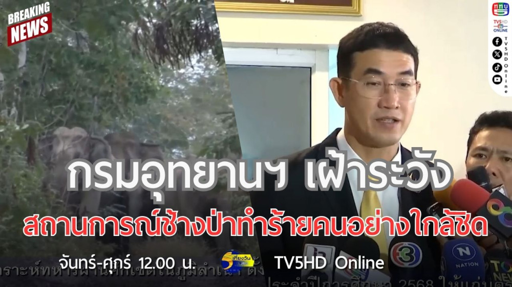กรมอุทยานฯ เฝ้าระวังสถานการณ์ช้างป่าทำร้ายคนอย่างใกล้ชิด