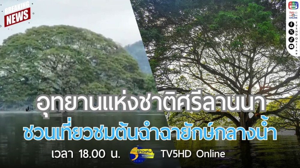 อุทยานแห่งชาติศรีลานนา ชวนเที่ยวชมต้นฉำฉายักษ์กลางน้ำ