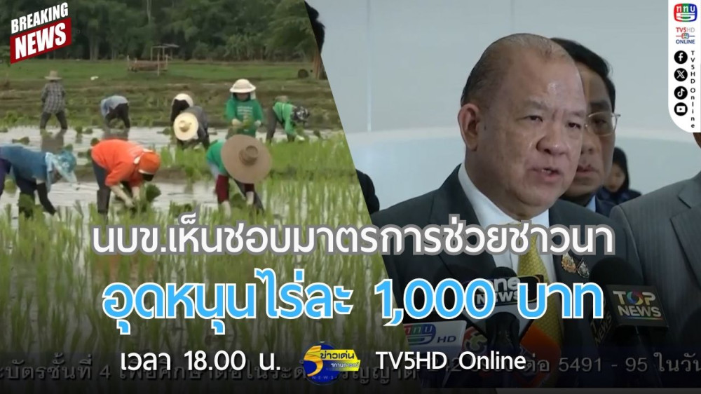 นบข.เห็นชอบมาตรการช่วยชาวนา อุดหนุนไร่ละ 1,000 บาท