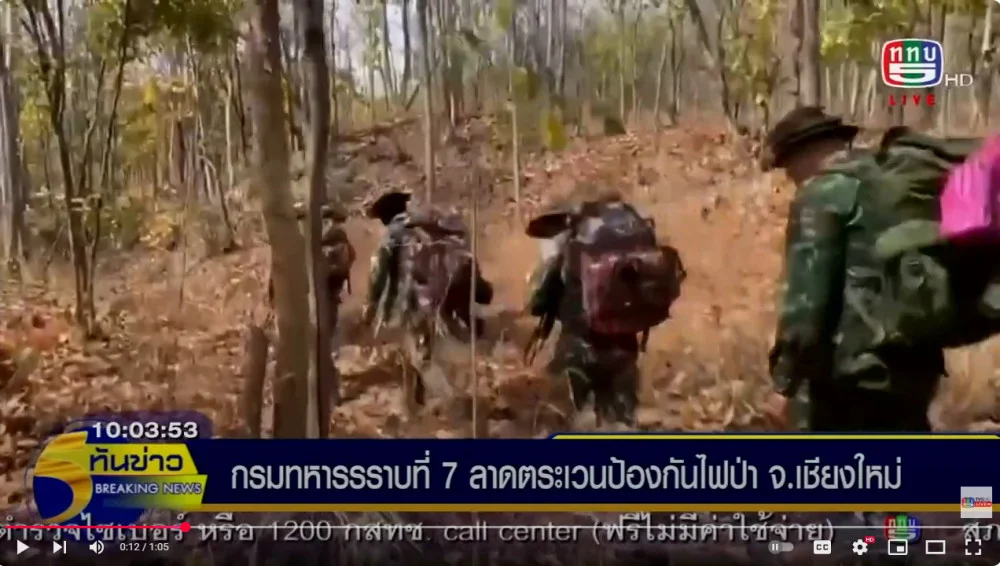 กรม.ร.7 ลาดตระเวนป้องกันไฟป่า จ.เชียงใหม่ ร่วมกับ จนท.พิทักษ์อุทยาน