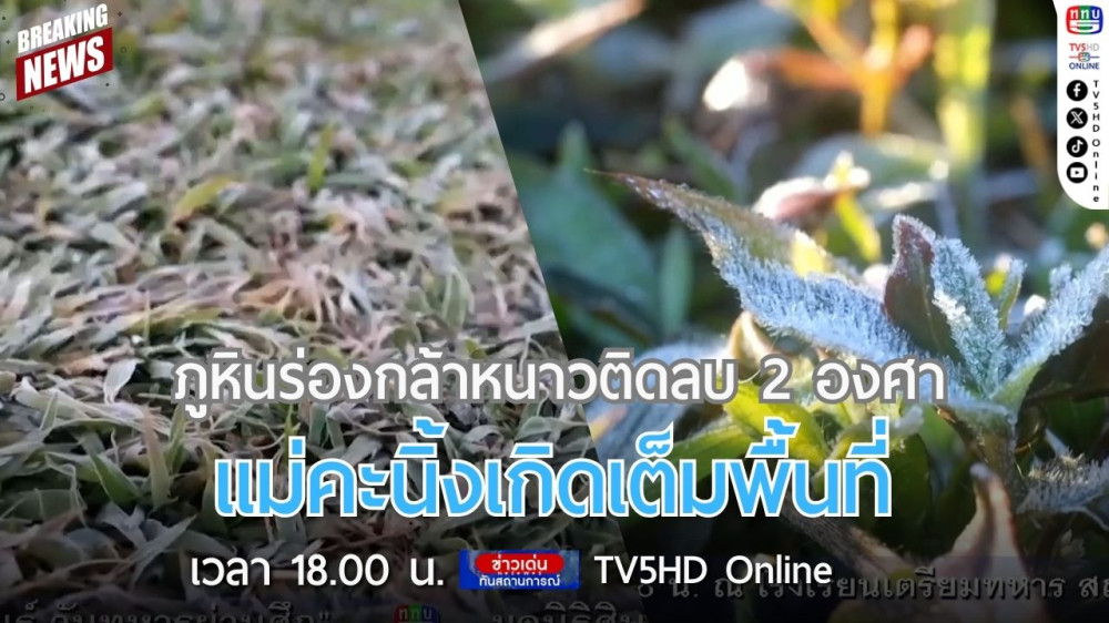 ภูหินร่องกล้าหนาวติดลบ 2 องศา แม่คะนิ้งเกิดเต็มพื้นที่