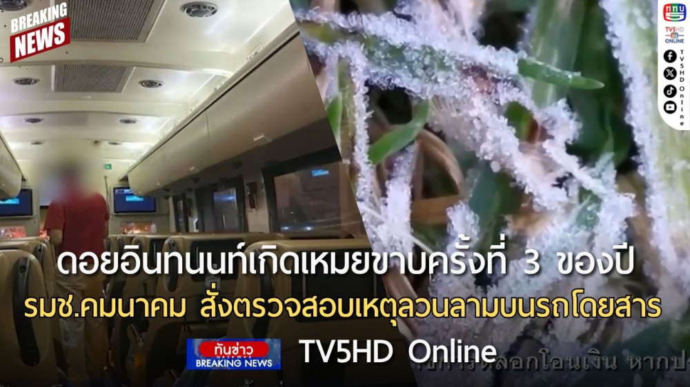 ดอยอินทนนท์เกิดเหมยขาบครั้งที่ 3 ของปี + รมช.คมนาคม สั่งตรวจสอบเหตุลวนลามบนรถโดยสาร