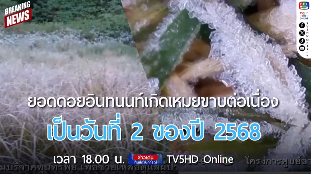 ยอดดอยอินทนนท์เกิดเหมยขาบต่อเนื่องเป็นวันที่ 2 ของปี 2568