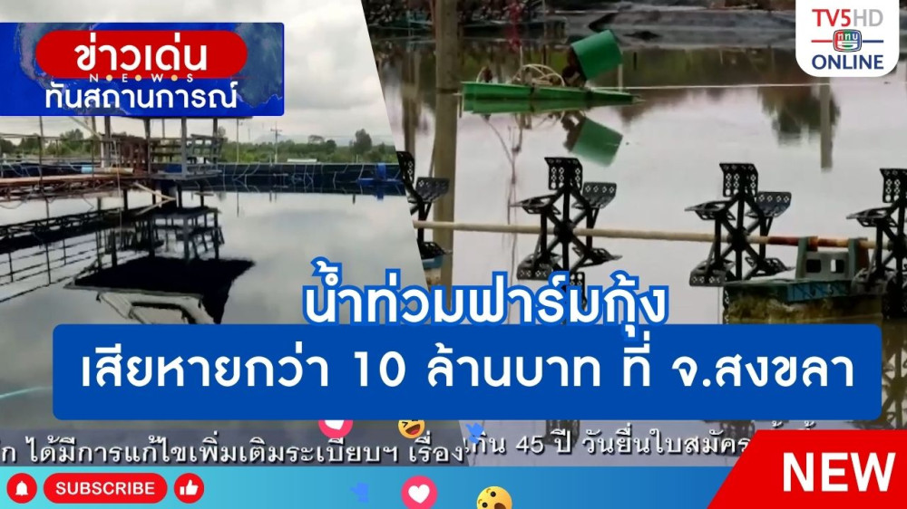 น้ำท่วมฟาร์มกุ้งเสียหายกว่า 10 ล้านบาท ที่ จ.สงขลา