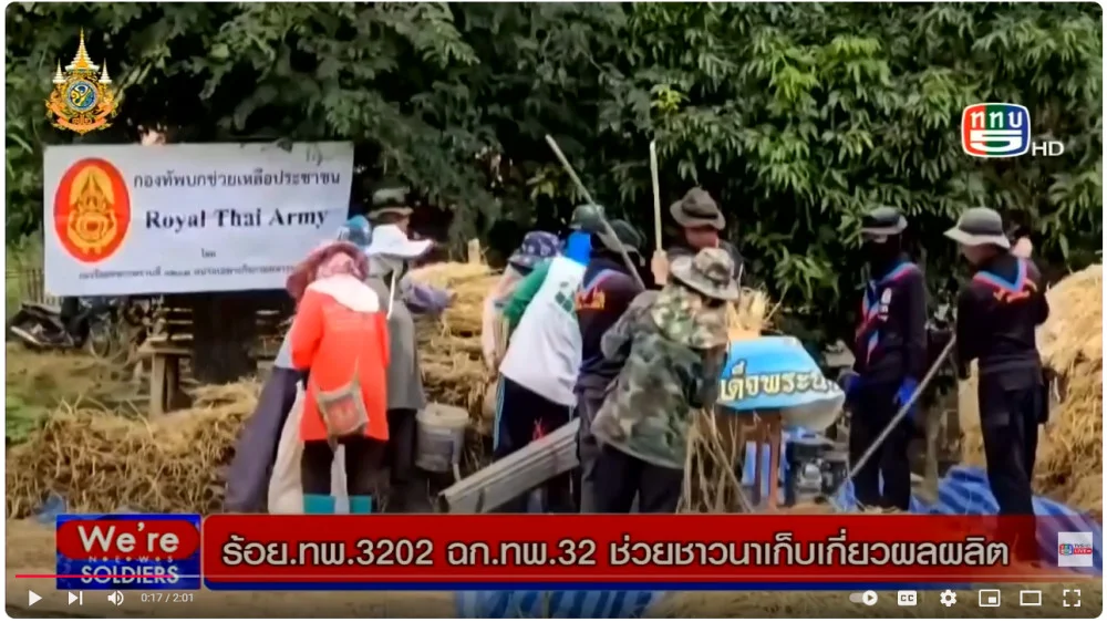 ฉก.ทพ.32 ช่วยเก็บเกี่ยวข้าว + ป.3 พัน.103 ร่วมสืบสานลงแขกเกี่ยวข้าว