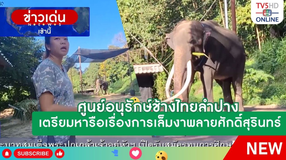 ศูนย์อนุรักษ์ช้างไทยลำปาง เตรียมหารือเรื่องการเล็มงาพลายศักดิ์สุรินทร์