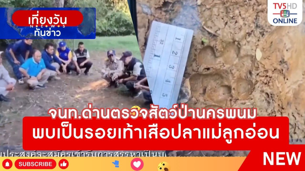 จนท.ด่านตรวจสัตว์ป่านครพนมพบเป็นรอยเท้าเสือปลาแม่ลูกอ่อน