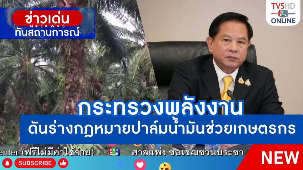 กระทรวงพลังงานดันร่างกฎหมายปาล์มน้ำมันช่วยเกษตรกร