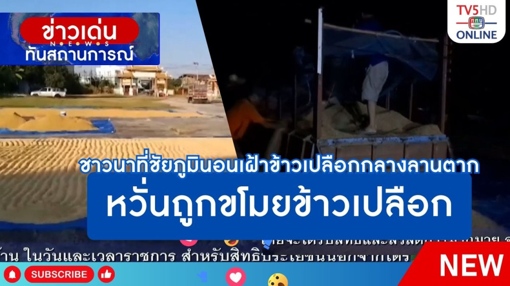ชาวนาที่ชัยภูมินอนเฝ้าข้าวเปลือกกลางลานตาก หวั่นถูกขโมยข้าวเปลือก