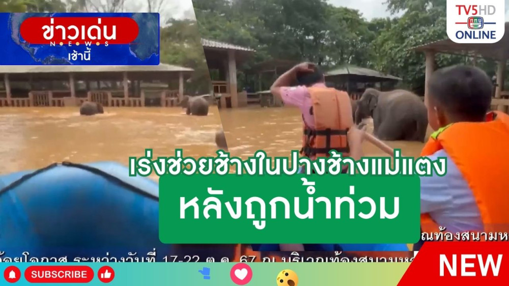 เร่งช่วยช้างในปางช้างแม่แตง หลังถูกน้ำท่วม