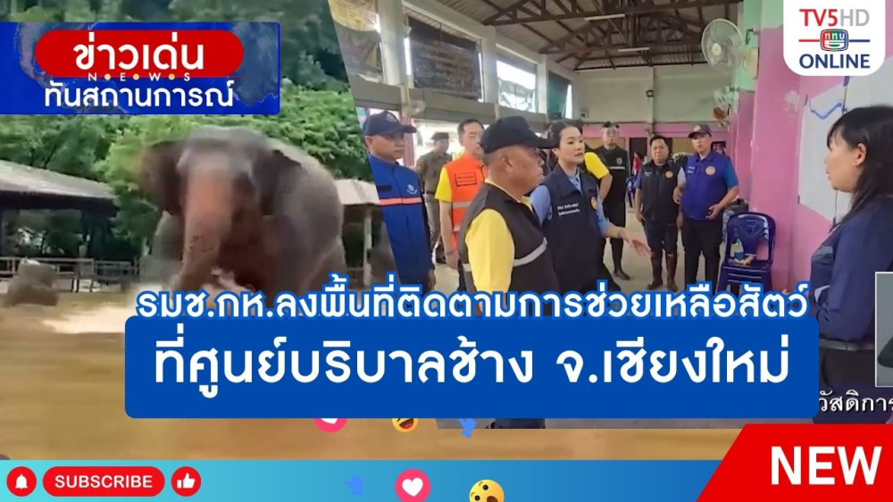 รมช.กห.ลงพื้นที่ติดตามการช่วยเหลือสัตว์ ที่ศูนย์บริบาลช้าง จ.เชียงใหม่