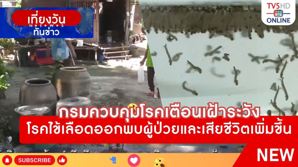 กรมควบคุมโรคเตือนเฝ้าระวังโรคไข้เลือดออกพบผู้ป่วยและเสียชีวิตเพิ่มขึ้น