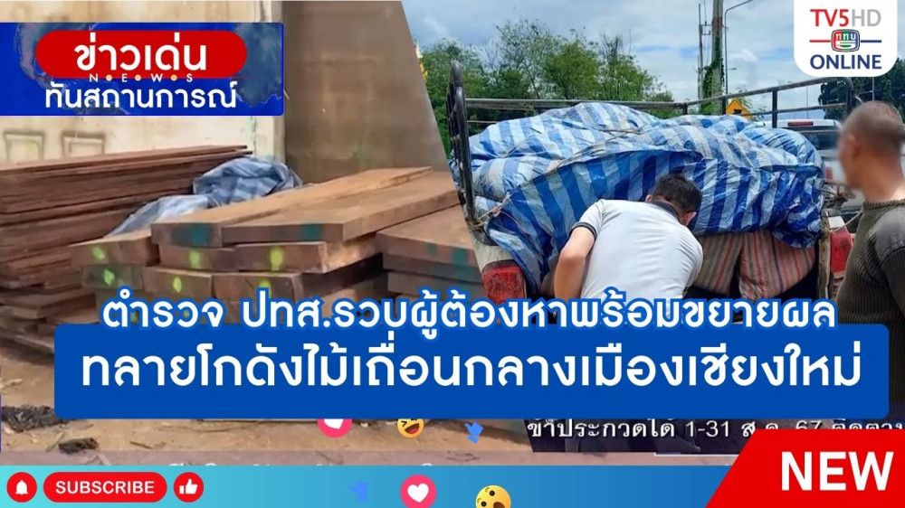 ตำรวจ ปทส.รวบผู้ต้องหาพร้อมขยายผลทลายโกดังไม้เถื่อนกลางเมืองเชียงใหม่