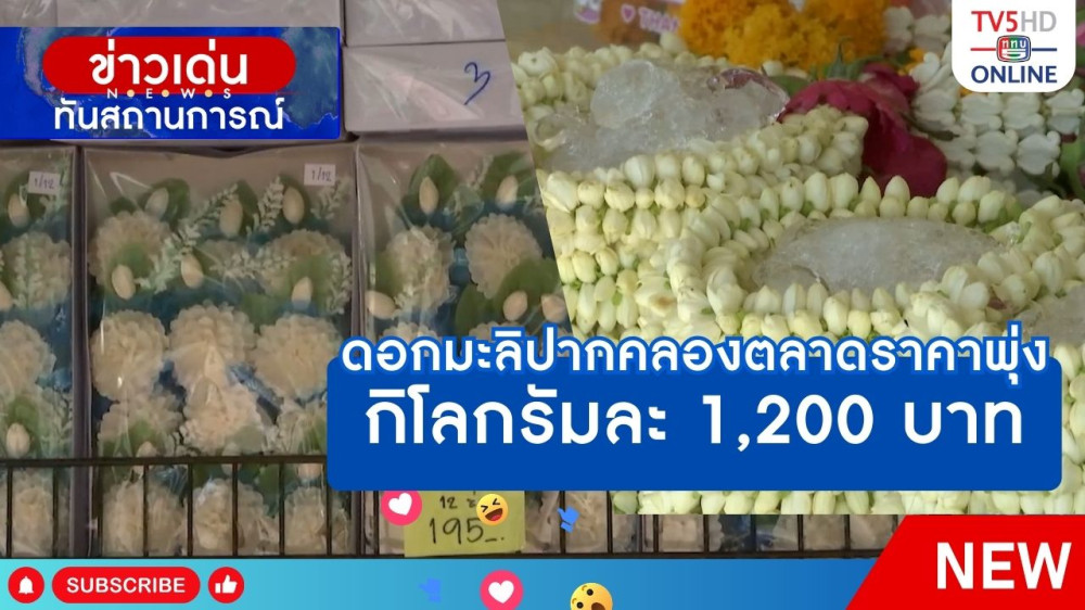 ดอกมะลิปากคลองตลาดราคาพุ่ง กิโลกรัมละ 1,200 บาท