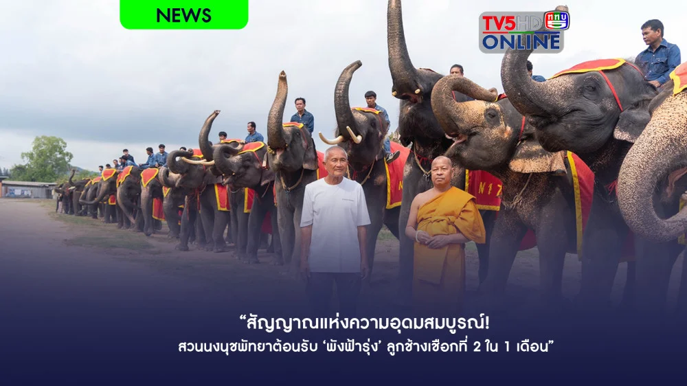 "สัญญาณแห่งความอุดมสมบูรณ์! สวนนงนุชพัทยาต้อนรับ ‘พังฟ้ารุ่ง’ ลูกช้างเชือกที่ 2 ใน 1 เดือน"