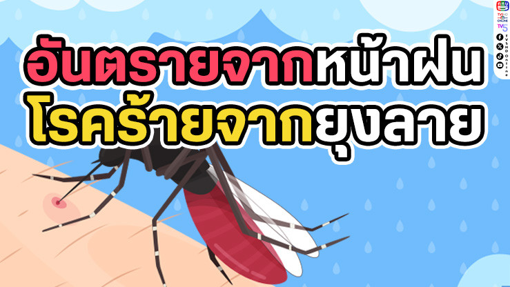 3 โรคยอดฮิตจากยุงลายที่คุณต้องระวัง!