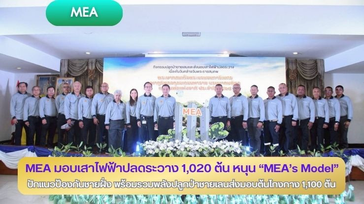 MEA มอบเสาไฟฟ้าปลดระวาง 1,020 ต้น หนุน “MEA's Model" ปักแนวป้องกันชายฝั่ง พร้อมรวมพลังปลูกป่าชายเลนส่งมอบต้นโกงกาง 1,100 ต้น