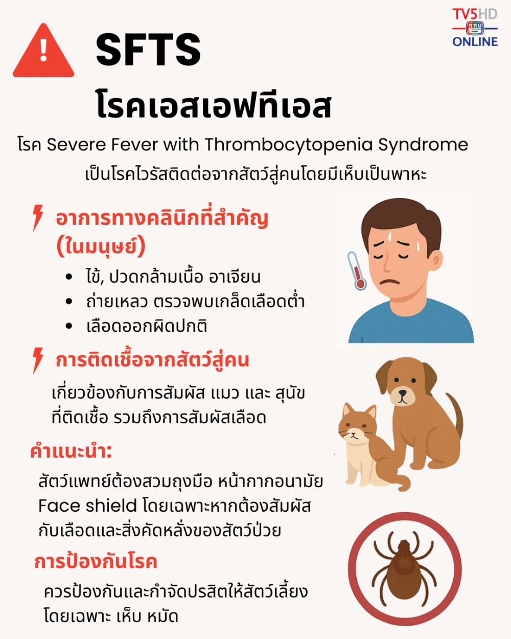 ระวัง “SFTS” โรคไวรัสอันตรายที่ติดจากเห็บ และสามารถแพร่จากสัตว์สู่คนได้