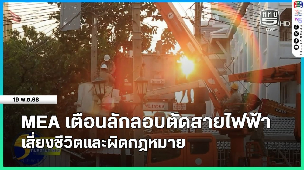MEA เตือนลักลอบตัดสายไฟฟ้า เสี่ยงชีวิตและผิดกฎหมาย