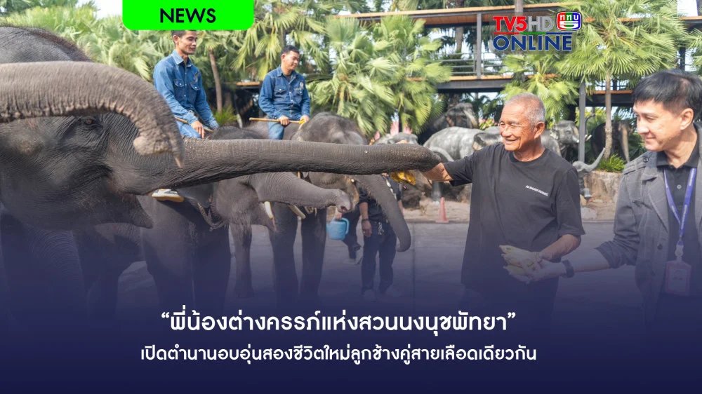 “พี่น้องต่างครรภ์แห่งสวนนงนุชพัทยา” เปิดตํานานอบอุ่นสองชีวิตใหม่ลูกช้างคู่สายเลือดเดียวกัน