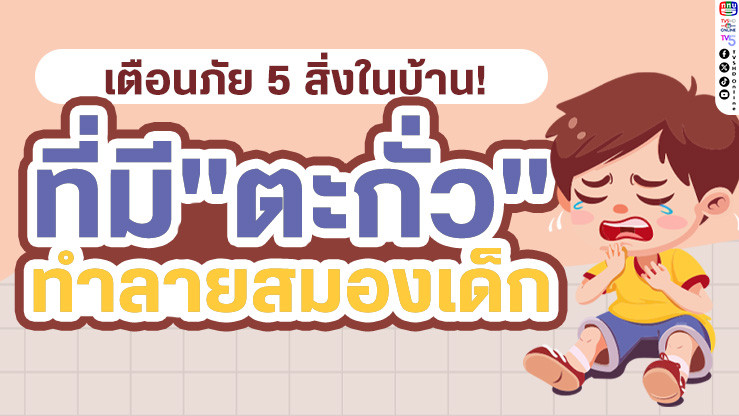 เตือนภัยเงียบ "ตะกั่ว" ทําลายสมองเด็ก! ภัยใกล้ตัวที่คุณอาจมองข้าม
