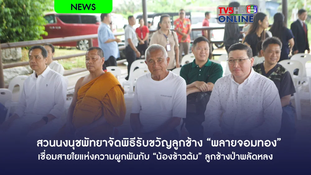 สวนนงนุชพัทยาจัดพิธีรับขวัญลูกช้าง “พลายจอมทอง” เชื่อมสายใยแห่งความผูกพันกับ “น้องข้าวต้ม” ลูกช้างป่าพลัดหลง 