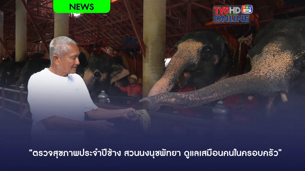 “ตรวจสุขภาพประจําปีช้าง สวนนงนุชพัทยา ดูแลเสมือนคนในครอบครัว”