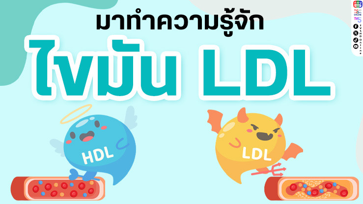 มารู้จักกับไขมัน LDL วายร้ายตัวจริง!
