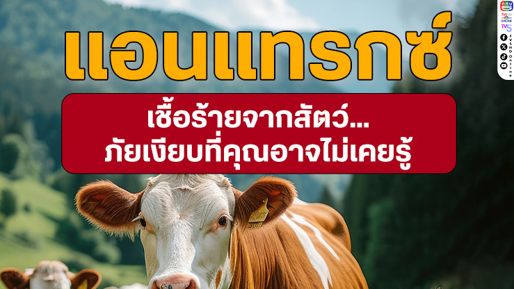 ภัยเงียบใกล้ตัว "แอนแทรกซ์" เชื้อร้ายจากสัตว์ที่คุณอาจไม่เคยรู้!