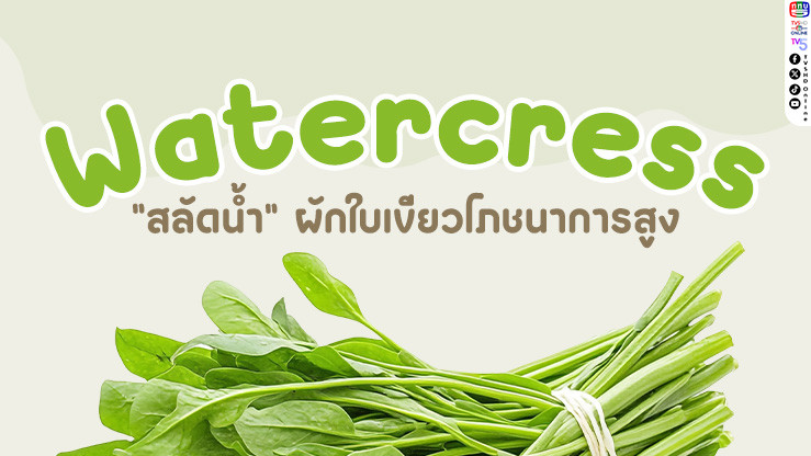"สลัดน้ำ" (Watercress) ผักใบเขียวที่คุณไม่ควรมองข้าม!