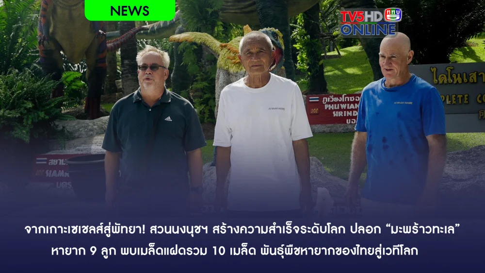 จากเกาะเซเชลส์สู่พัทยา! สวนนงนุชฯ ปลอก “มะพร้าวทะเล” หายาก 9 ลูก พบเมล็ดแฝดรวม 10 เมล็ด มูลค่าทะลุล้านบาท