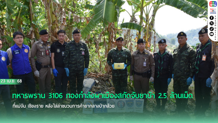 ผาเมืองจับยาบ้า 2.5 ล้านเม็ด กลางป่าแม่จัน