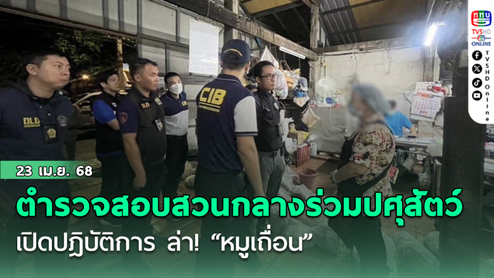 ตำรวจสอบสวนกลาง (CIB) ร่วมปศุสัตว์ เปิดปฎิบัติการ ล่า! “หมูเถื่อน” บุกกรุง จับโรงชำแหละหมูย่านบางซื่อ
