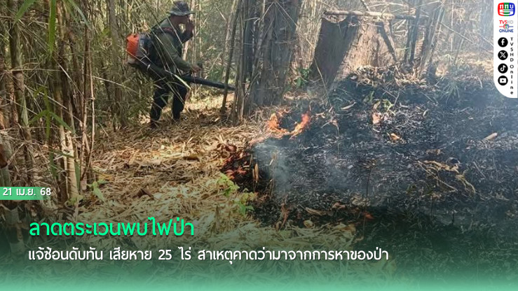 ลาดตระเวนพบไฟป่า แจ้ซ้อนดับทัน เสียหาย 25 ไร่