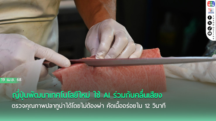 ญี่ปุ่น เปิดตัว “โซโนไฟ” เครื่องคัดปลาด้วยคลื่นเสียง