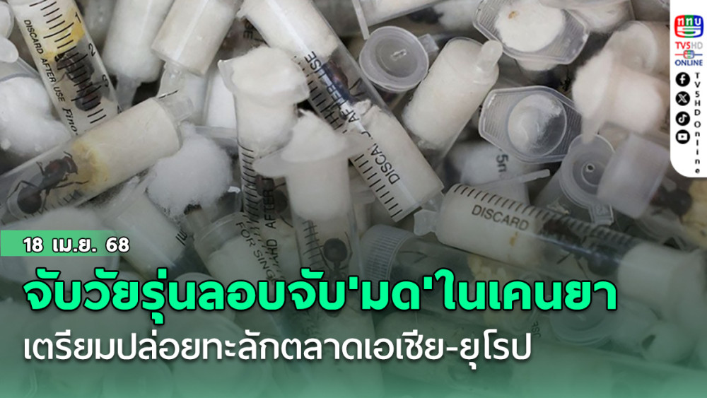 จับ2วัยรุ่นลอบจับ'มด'ในเคนยากว่า5,000ตัว เตรียมปล่อยทะลักตลาดเอเชีย-ยุโรป