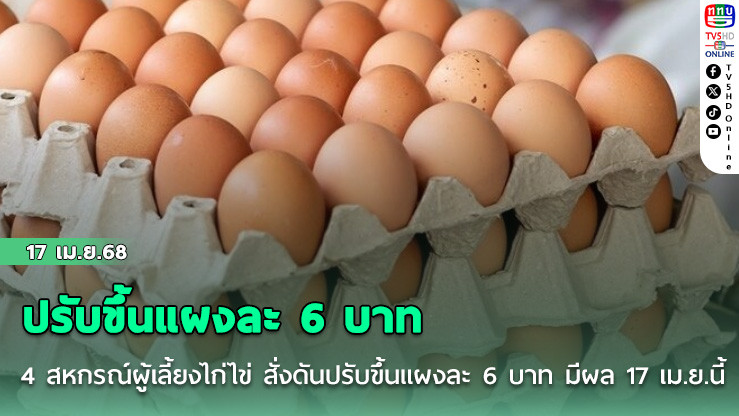 4 สหกรณ์ผู้เลี้ยงไก่ไข่ สั่งดันราคา ‘ไข่ไก่’ ปรับขึ้นแผงละ 6 บาท มีผล 17 เม.ย.นี้