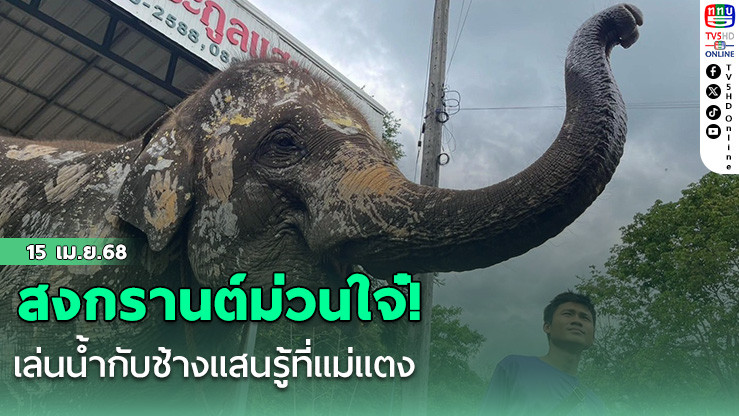 สงกรานต์ม่วนใจ๋! เล่นน้ำกับช้างแสนรู้ที่แม่แตง