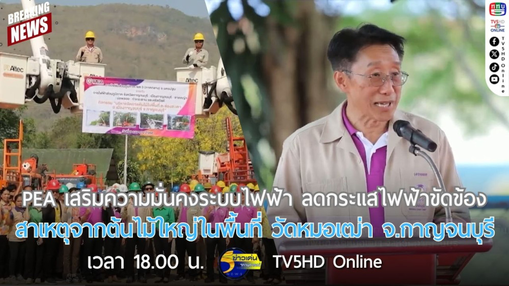 PEA เสริมความมั่นคงระบบไฟฟ้า ลดกระแสไฟฟ้าขัดข้องสาเหตุจากต้นไม้ใหญ่ในพื้นที่ วัดหมอเฒ่า จังหวัดกาญจนบุรี