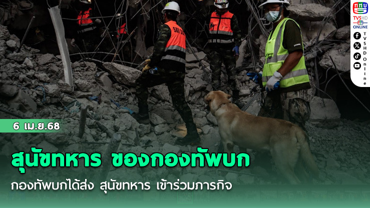 สุนัขทหาร ของกองทัพบก 